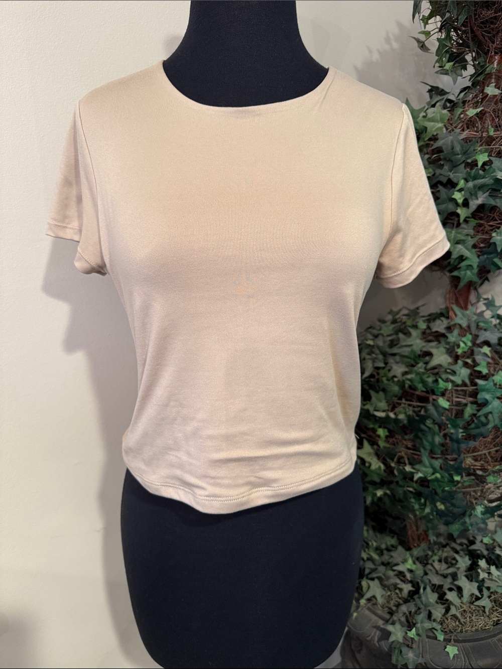 Classic Women's Crewneck Tee in Light Beige/latte size large